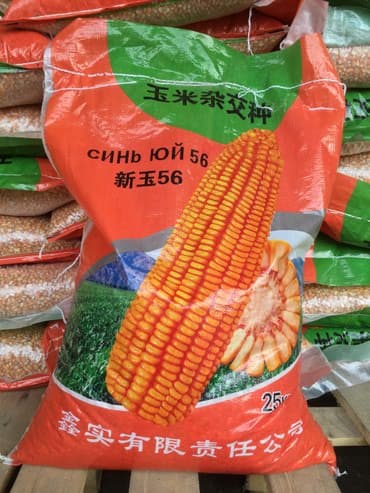 Дрова: Продаю семена кукурузы оригинал! Китайськая !!! Все сертификаты — 2