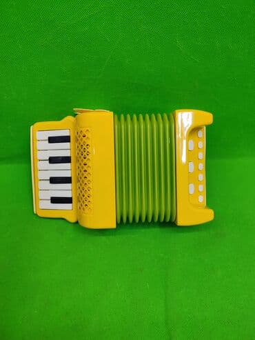 аккумулятор для детской машины: Аккордеон игрушка детская музыкальная🪗 Комплектация товара — 2