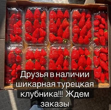 клубника тепличная: Клубника Оптом — 5