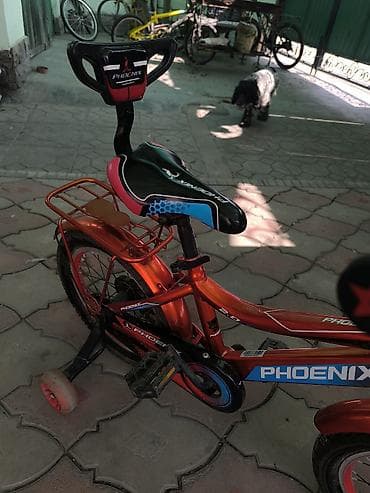 пега: Детский велосипед, 2-колесный, 4 - 6 лет, Для мальчика, Б/у — 4