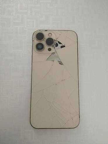 IPhone 13 про макс На фото видно разбитую заднюю стеклянну крышку at lalafo.kg IPhone 13 про макс На фото видно разбитую заднюю стеклянну крышку