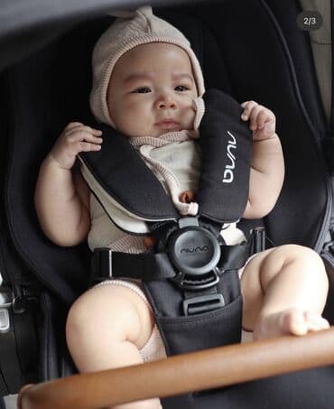 мишка с пледом: Коляска, цвет - Черный — 4