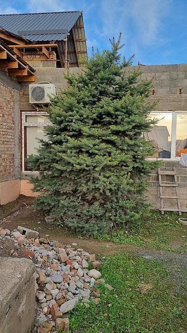 картины на заказ бишкек: Ассалом алейкум сатылат казып кетиш керек — 2