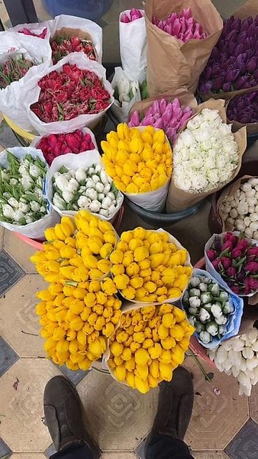 женское счастье цветы: 🌷 Свежие тюльпаны к 8 Марта 🌷 Самые нежные и красивые цветы для ваших — 1