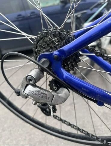 Китептер жана журналдар: Шоссе велосипеди, Specialized, Велосипед алкагы L (172 - 185 см), Колдонулган — 8