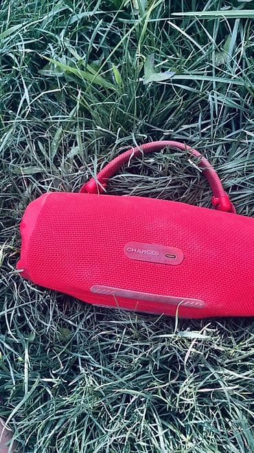 ноут: Портативная Bluetooth-колонка JBL (красная) - Форм-фактор — 1