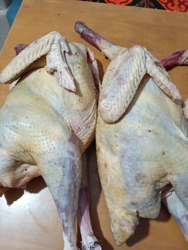 Домашний индюк вес 5 кг стоимость 3000сом территориально Ак Ордо