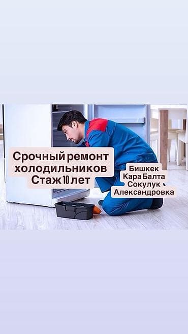 с мебелью: Срочный ремонт холодильников. Опыт 10 лет. Гарантия на ремонт. Большой — 1