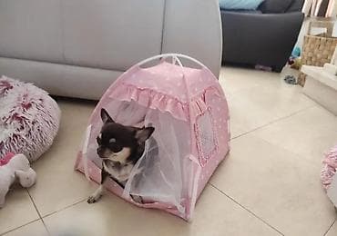 дом переносной: Домик-палатка для кошек и мелких собак - Уютная крытая лежанка в форме — 4