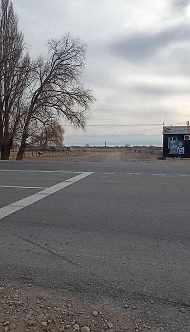 меняю дом: 20 соток, Для строительства, Красная книга — 5