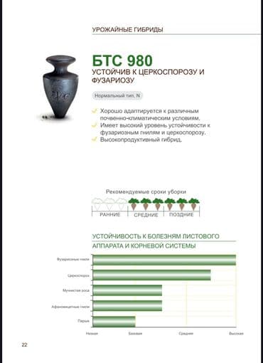 розы корни: Семена овощей: Свекла, Самовывоз, Бесплатная доставка, Платная доставка — 4