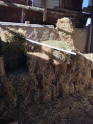 рисовая отруби: Тюк клевер 2й косс
25 штук — 3