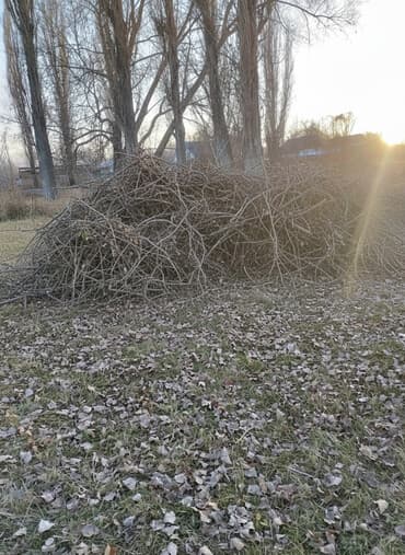 адресная табличка на частный дом: Дрова — 2