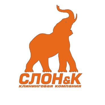 сиделка в канте: Клининговая Компания «SLON&K» Мойка фасадов стен памятников и — 7
