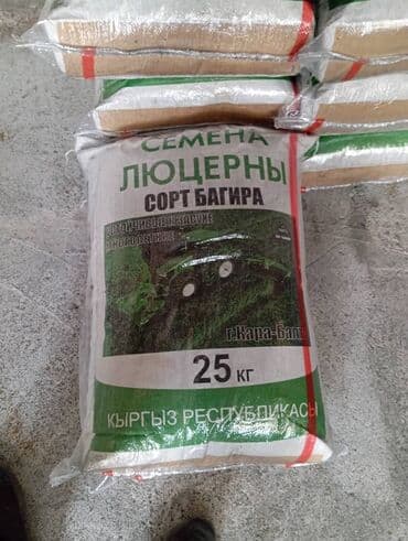 продаю пшеницы: Семена кормовых растений: Люцерна — 7