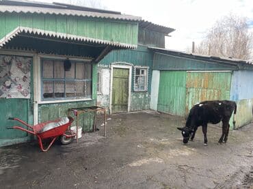 дом беловодс: Дом, 28 м², 3 комнаты, Собственник, Старый ремонт — 6