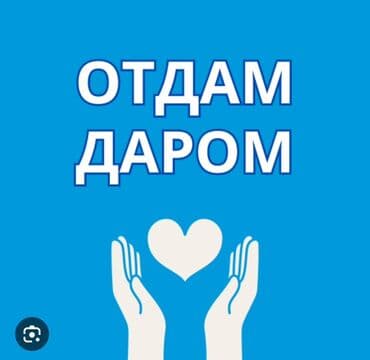 Отдам даром за шоколадку пакет вещей для новорожденного и до года