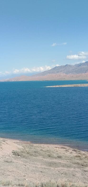 долгосрочные квартиры в аламедин 1: 2 бөлмө, Менчик ээси, Чогуу жашоосу жок, Жарым -жартылай эмереги бар — 1