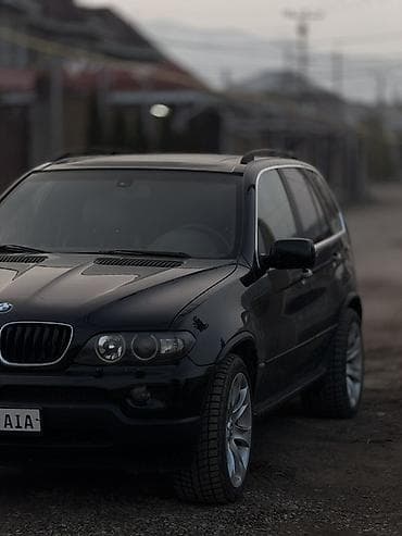 летняя резина 16: BMW X5: 2002 г., 4.4 л, Автомат, Бензин, Внедорожник — 8