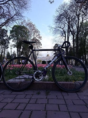 novatec: Шоссейный велосипед, Tsunami, Рама XL (180 - 195 см), Б/у — 3