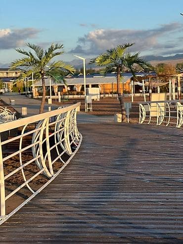 модульный жом: Сдается в Palm beach Дом с террасой, - Планировка: просторная — 8