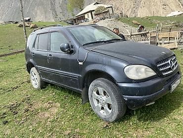 Mercedes-Benz M-Class: 2001 г., 3.2 л, Автомат, Бензин, Внедорожник — 4