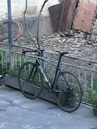 либерти фикс: Шоссейный велосипед, Рама XL (180 - 195 см), Б/у — 1