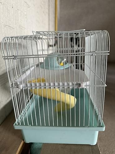 домик хомяка: Клетка для хомяка/мыши Dayang Pet Products - Компактная — 1
