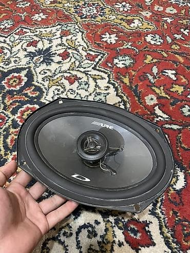 land crouser: Автомобильная акустика Alpine, овальные динамики 6x9" - Серия Type‑D — 1