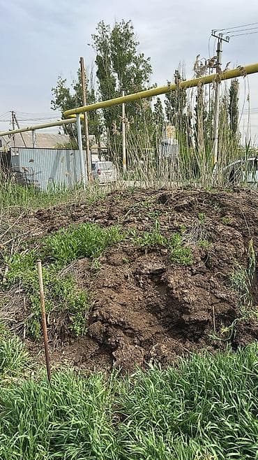 дождевой червь: Навос кык сатам адрес ново пакровка — 1