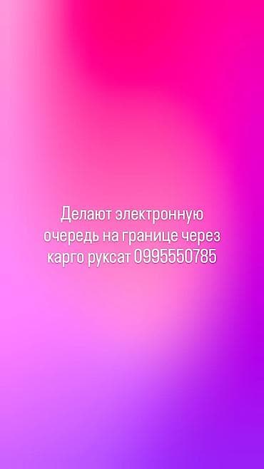 Делают электронную очередь на границе через карго руксат