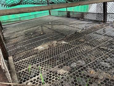 продажа щенков немецкой овчарки с документами в бишкеке: Продаю железную клетку, пол из высечки, бока сетка, можно разделить на — 6