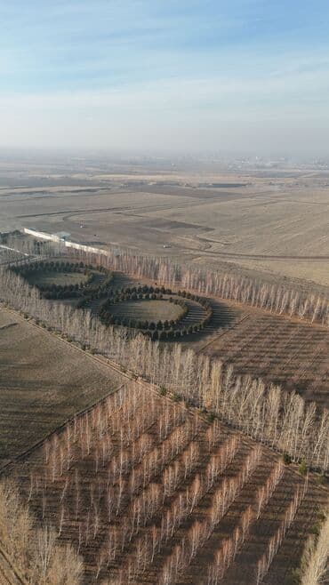 купить домик для кукол: 5 соток, Красная книга, Тех паспорт, Договор купли-продажи — 11