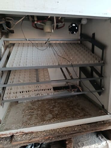 Оборудование для производства: Инкубатор промышленного типа + бензиновый генератор Описание — 3