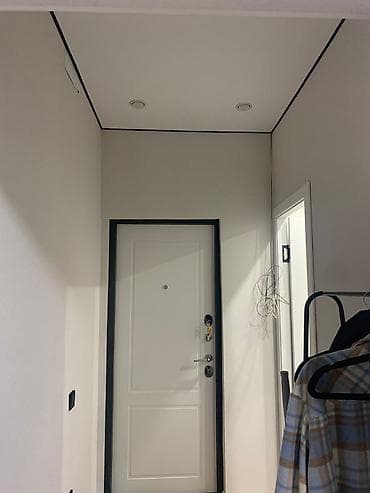 квартира алматинская: 1 комната, 43 м², 108 серия, 8 этаж, Евроремонт — 6