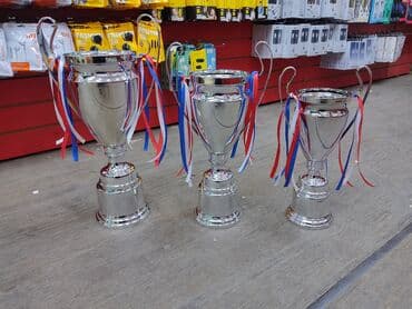 где купить ракетки для настольного тенниса: Кубок Лига Чемпионов!!! Железный А.(42см) - 2300 с В.(37см) - 2000 — 3