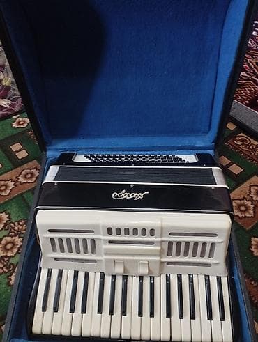 Книги и журналы: Аккордеон «Аккорд» в фирменном кофре. Характеристики: - Клавиатура — 1