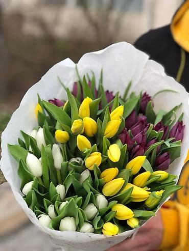 луковица тюльпаны: Тюльпаны оптом только до 6марта ! Свежие хрустящие сортовые — 6