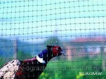 кастинговый сет: Сетка для птичников, сетка для птичника купить, сетка пластиковая для — 2