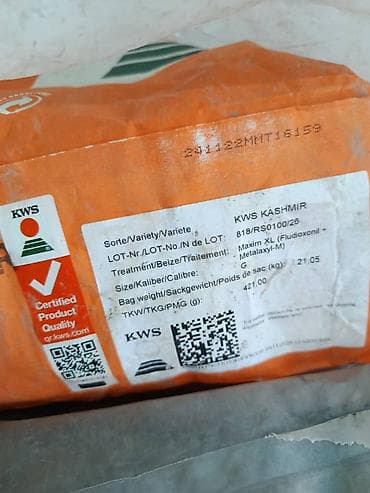 филе курицы: Продаются семена кукурузы KWS гибрид Кашмир сеяли осталось 15килограм — 2