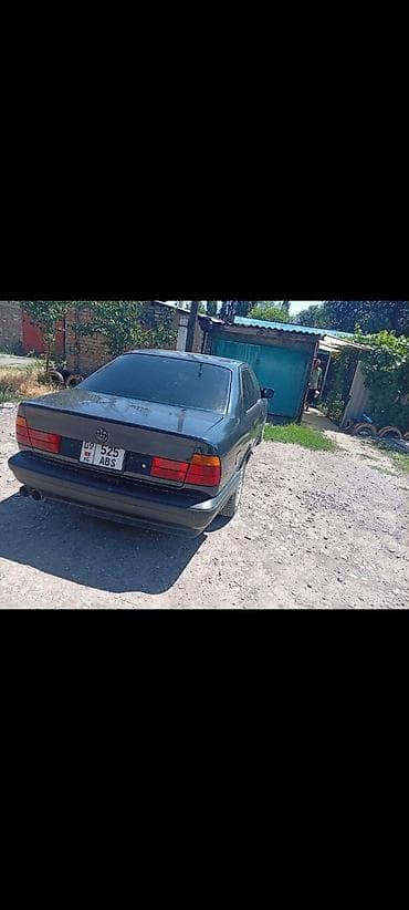 краска авто: BMW 5 series: 1995 г., Седан — 3