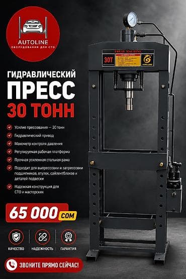 Гидравлический пресс 30 тонн - Усилие прессования: 30 т -