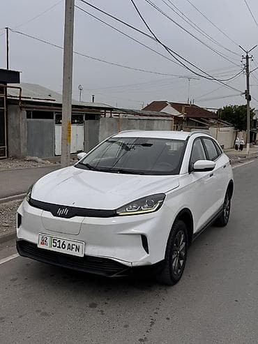 автономка спринтер: Weltmeister EX5, 2020 г. — 3