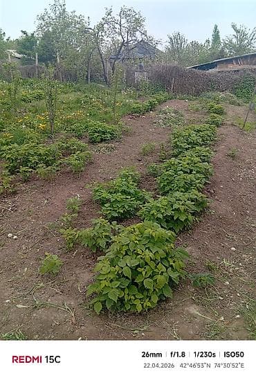 участок фурхат: Село Сарбан,
джал улица средняя 24 (автобус 23) — 7