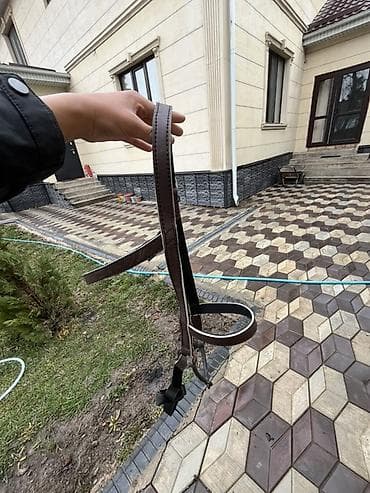 каракол собаки: Кыргыз ээр жана жугон Жазалышы: кожыный оюм чийими бар, колго — 2