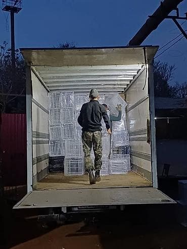 кудайберген военный городок: Переезд, Другие опции — 10