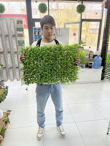 перегородки декоративные: Искусственные зеленые панели для оформления стен и перегородок — 2