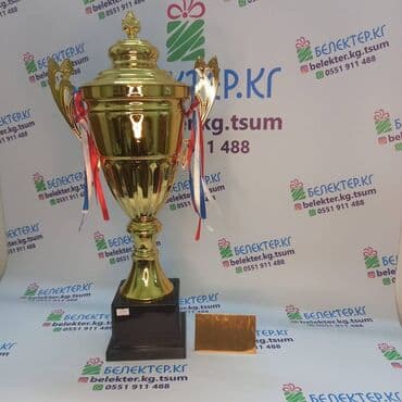 коллекционные монеты нбкр: ✅ Кубки спортивные ✅Бесплатная табличка ✅Бесплатный дизайн ✅Упаковка — 18