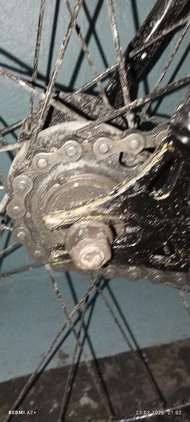 Детские велосипеды: Городской велосипед, Рама L (172 - 185 см) — 1