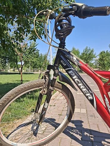 fixed gear: Горный велосипед, Сталь — 3